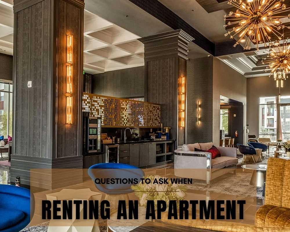 Renting an Apartment