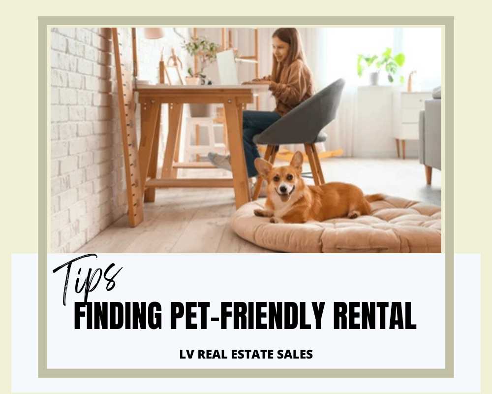Pet-Friendly Rental